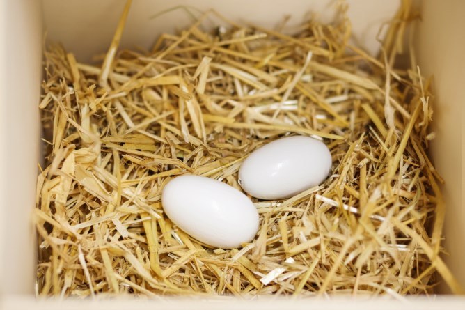 Nidiandolo - uova finte in ceramica