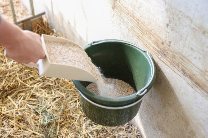 Accessori per l'allevamento dei vitelli Supporto per secchio zincato