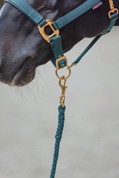 Esclusiva corda di piombo