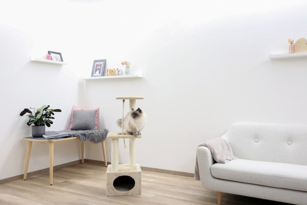 tiragraffi con corda lunga