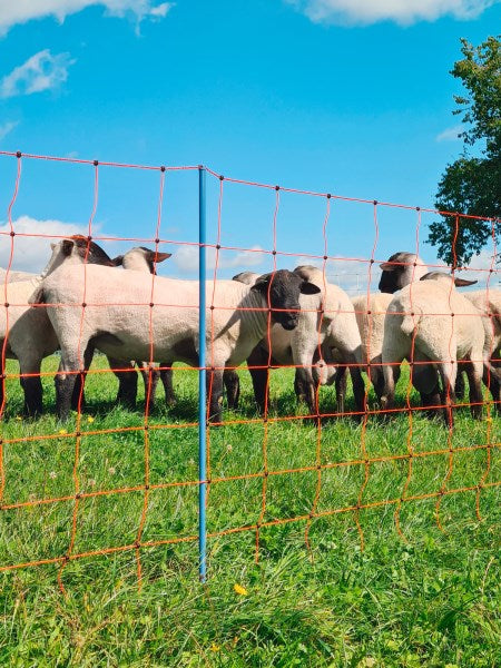 Rete per le pecore AKO OviNet Premium Protezione