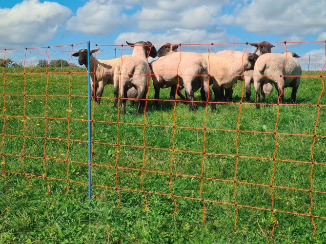 Rete per le pecore AKO OviNet Premium Protezione