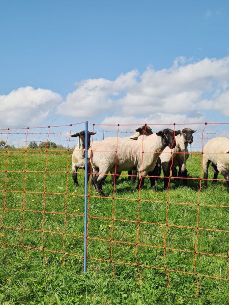 Rete per le pecore AKO OviNet Premium Protezione