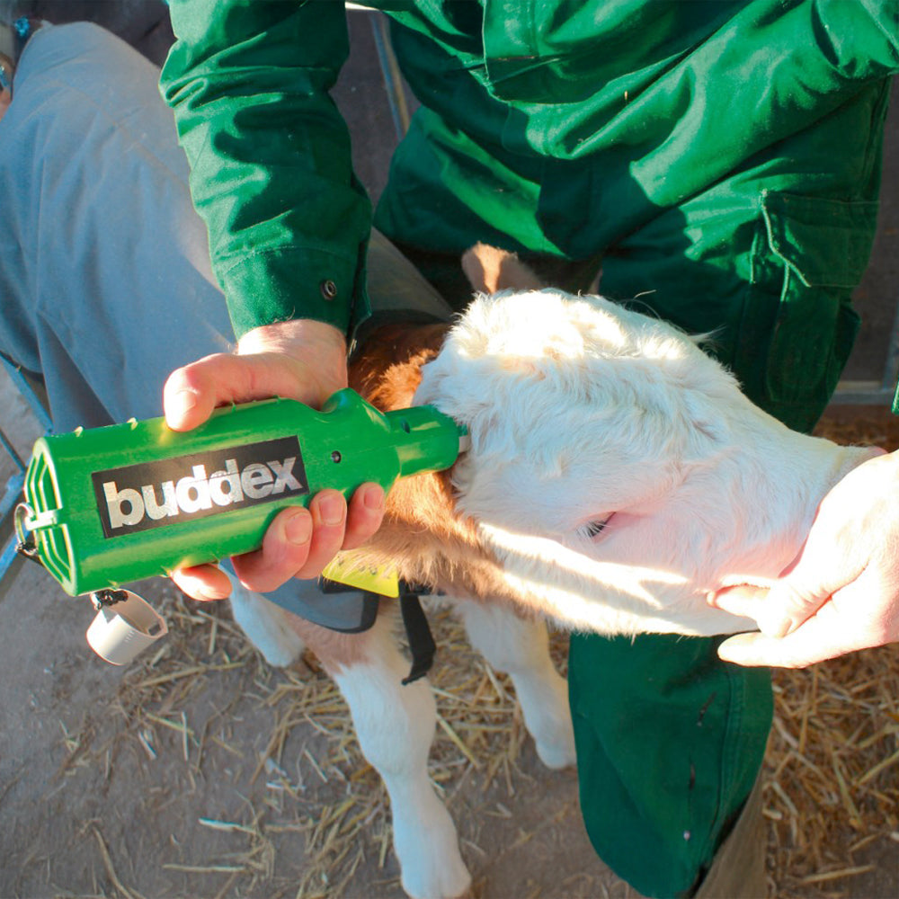 Decornatore vitelli Batteria per Buddex