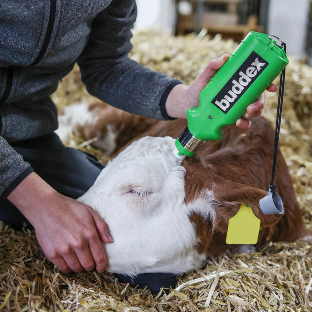 Decornatore vitelli Batteria per Buddex