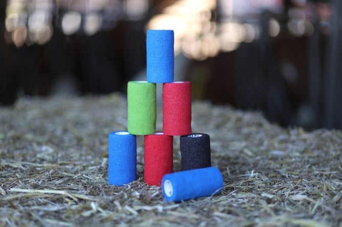 Bendaggi per zoccoli bovini