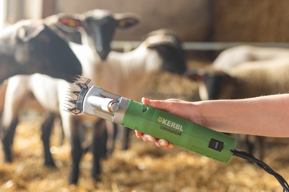 Tosatrice elettrica per pecore Constanta 4