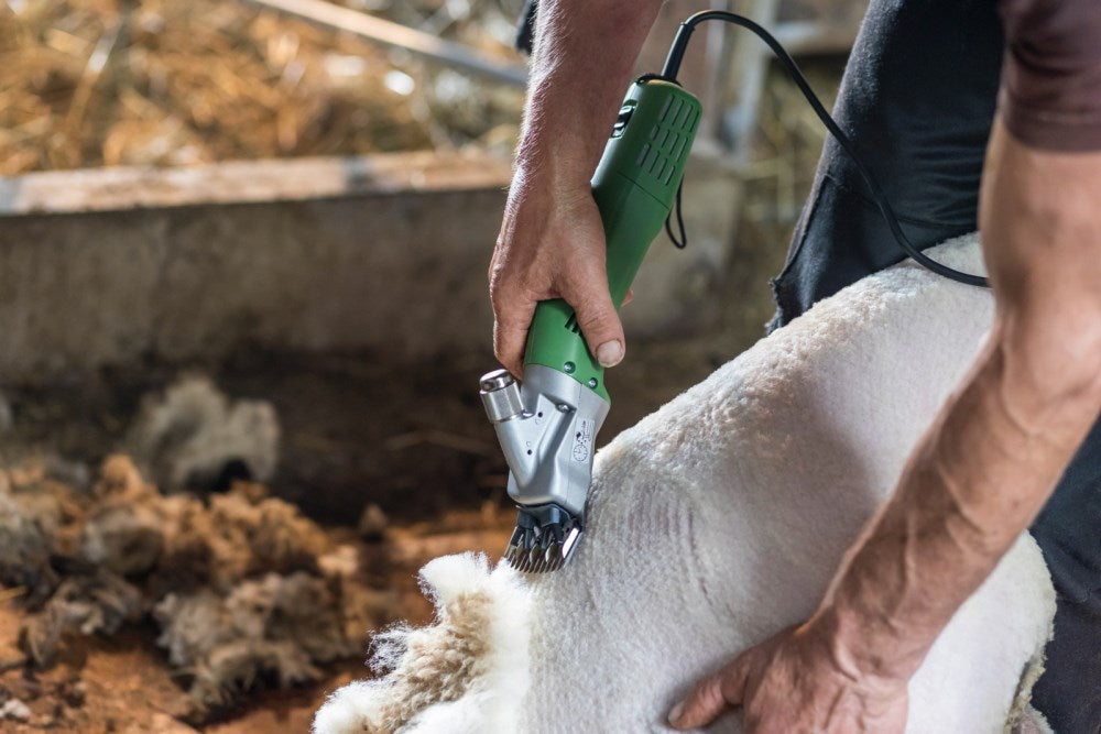 Tosatrice elettrica per pecore Constanta 4