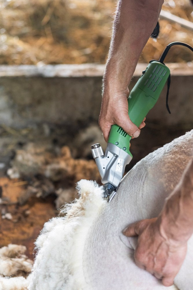 Tosatrice elettrica per pecore Constanta 4