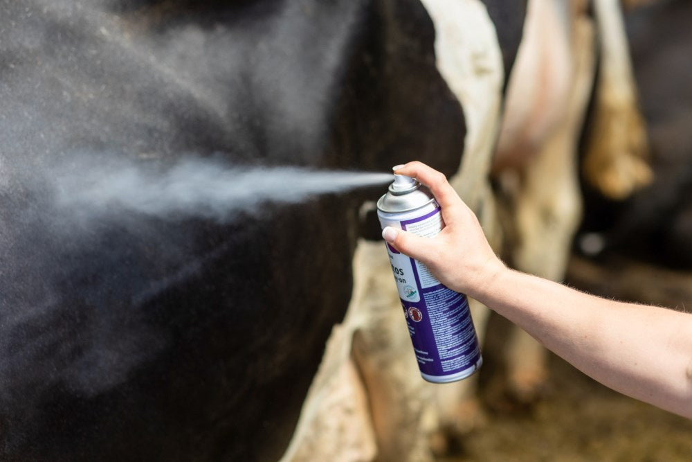 CIT Parasitos Spray-On 500ml