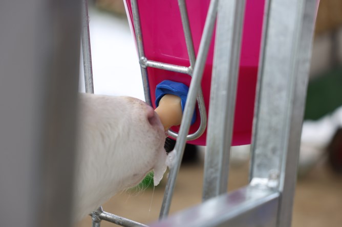 Raccordo per vitelli Tettarella FixClip-Vent.5x