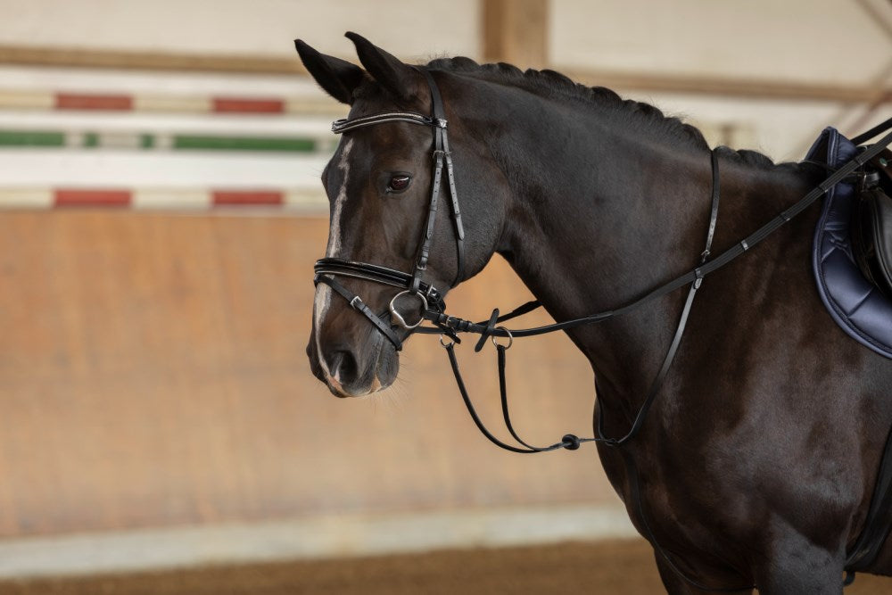 Martingala in pelle full con stopper inclusi