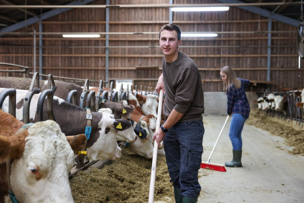 Scopa con fondo in legno resistente