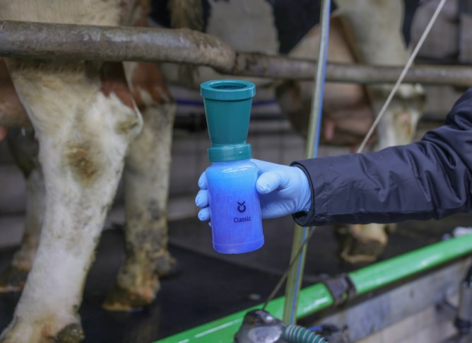 Coppa di immersione standard per il bagno del capezzolo