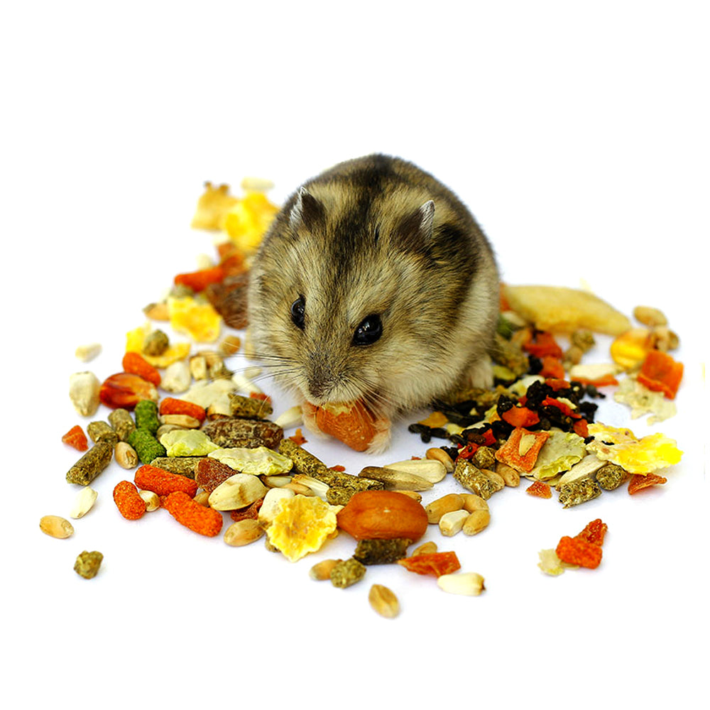 Panto Muesli di croccantini di roditore - 20 kg