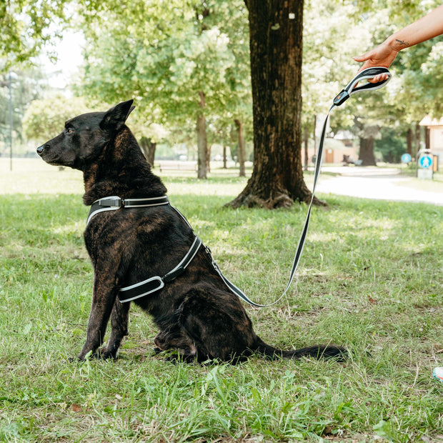 guinzaglio ergonomico per passeggiate