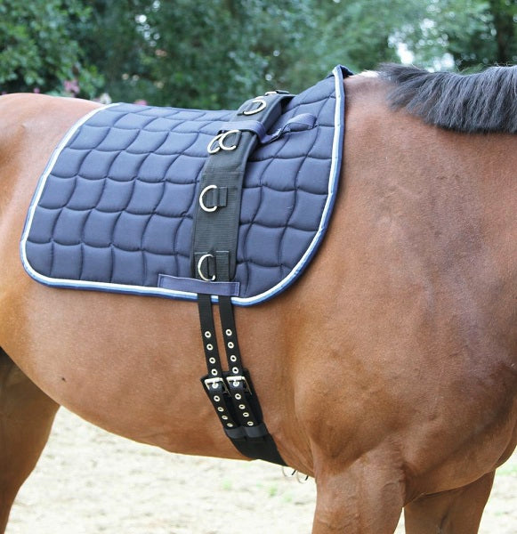 Fascione da doma in nylon