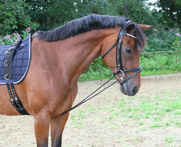 Estensore del collo con moschettone in plastica per cavalli