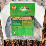 Beevital beestrong 1 kg Bonbon Schützen Sie Ihre Bienen   