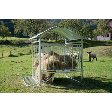 mangiatoia per fieno pecore