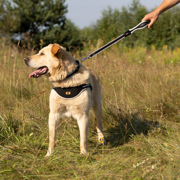 guinzaglio con impugnatura ergonomica