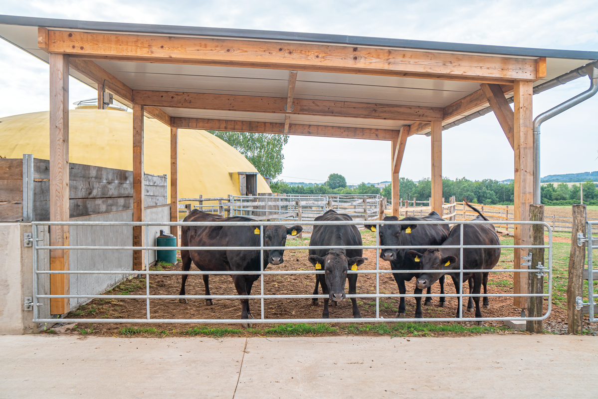 Pascolo Gate regolabile altezza