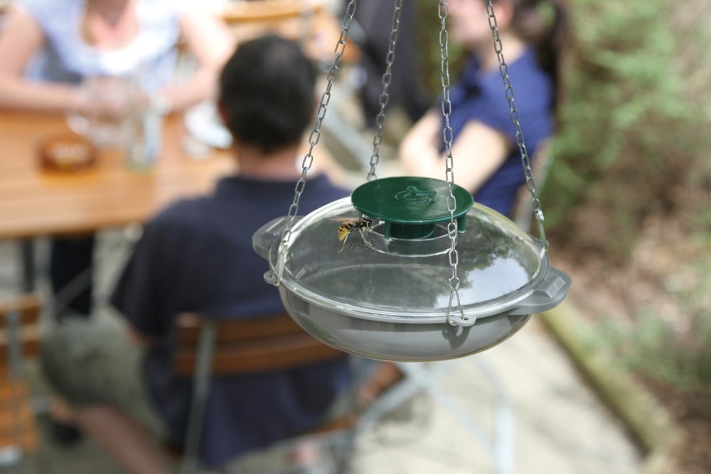 Trappola per vespe VespaNo