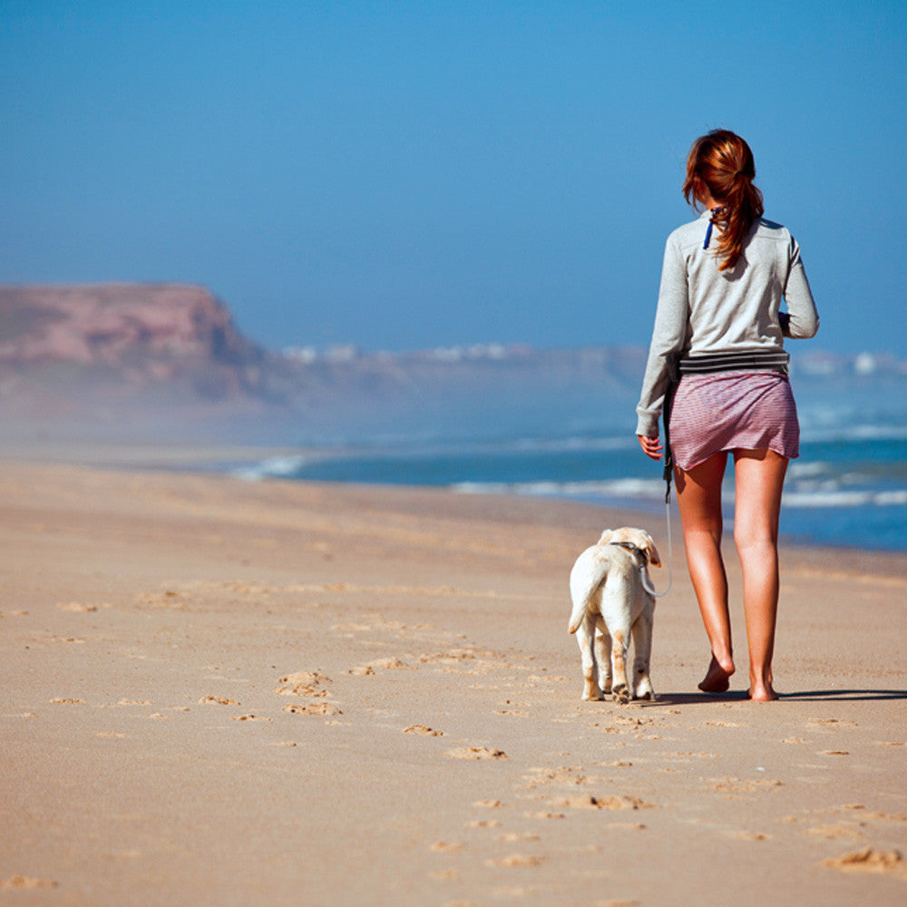 ERGOCOMFORT FREETIME - Cintura con Tasca e Guinzaglio Elastico con Ganci Magnetici