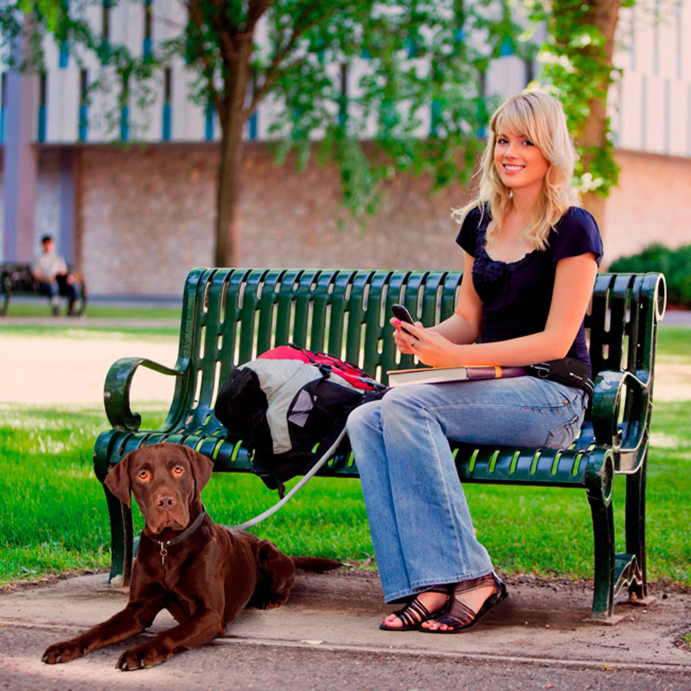 ERGOCOMFORT FREETIME - Cintura con Tasca e Guinzaglio Elastico con Ganci Magnetici