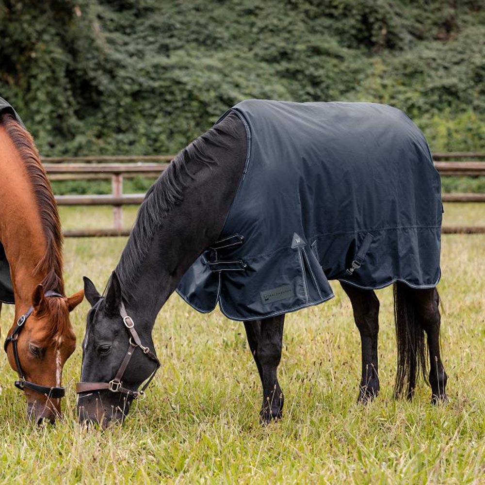 Coperta da Esterno Invernale per Cavalli Arctic - 200g