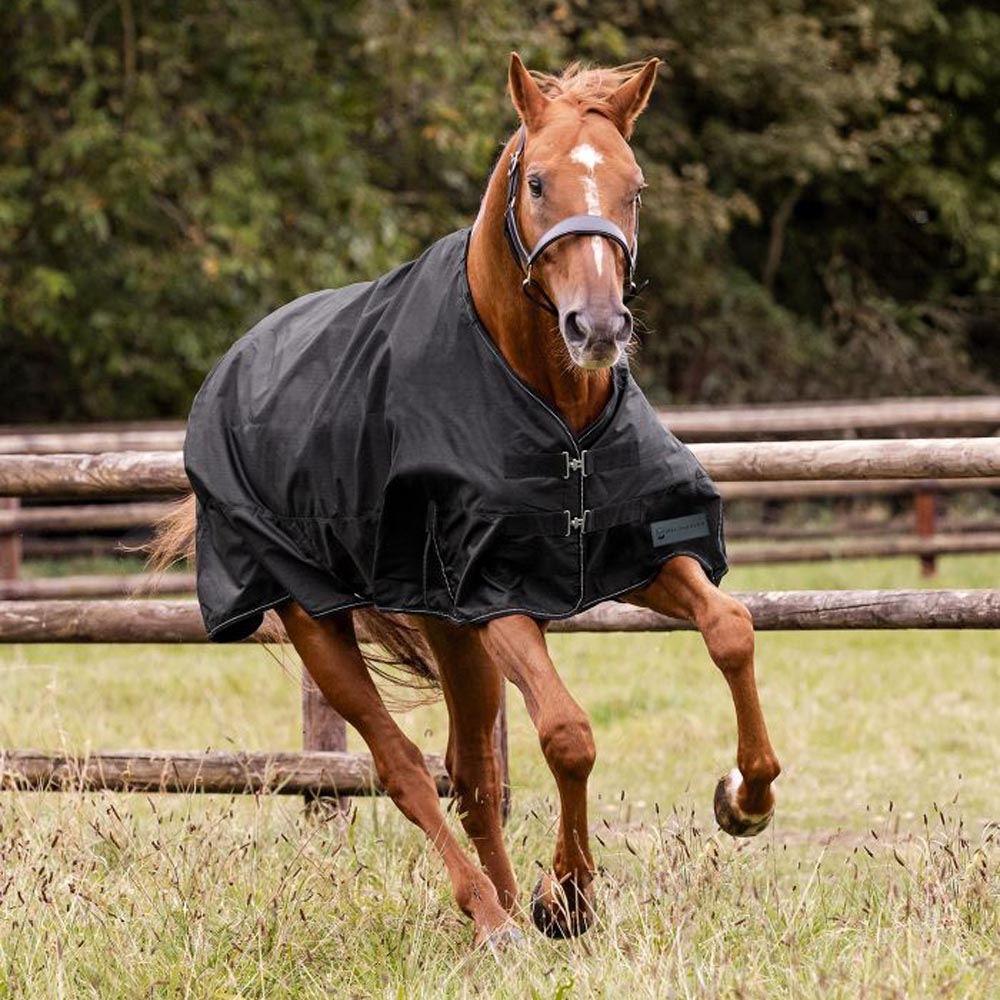 Coperta Nordic Esterno per cavalli - 200g