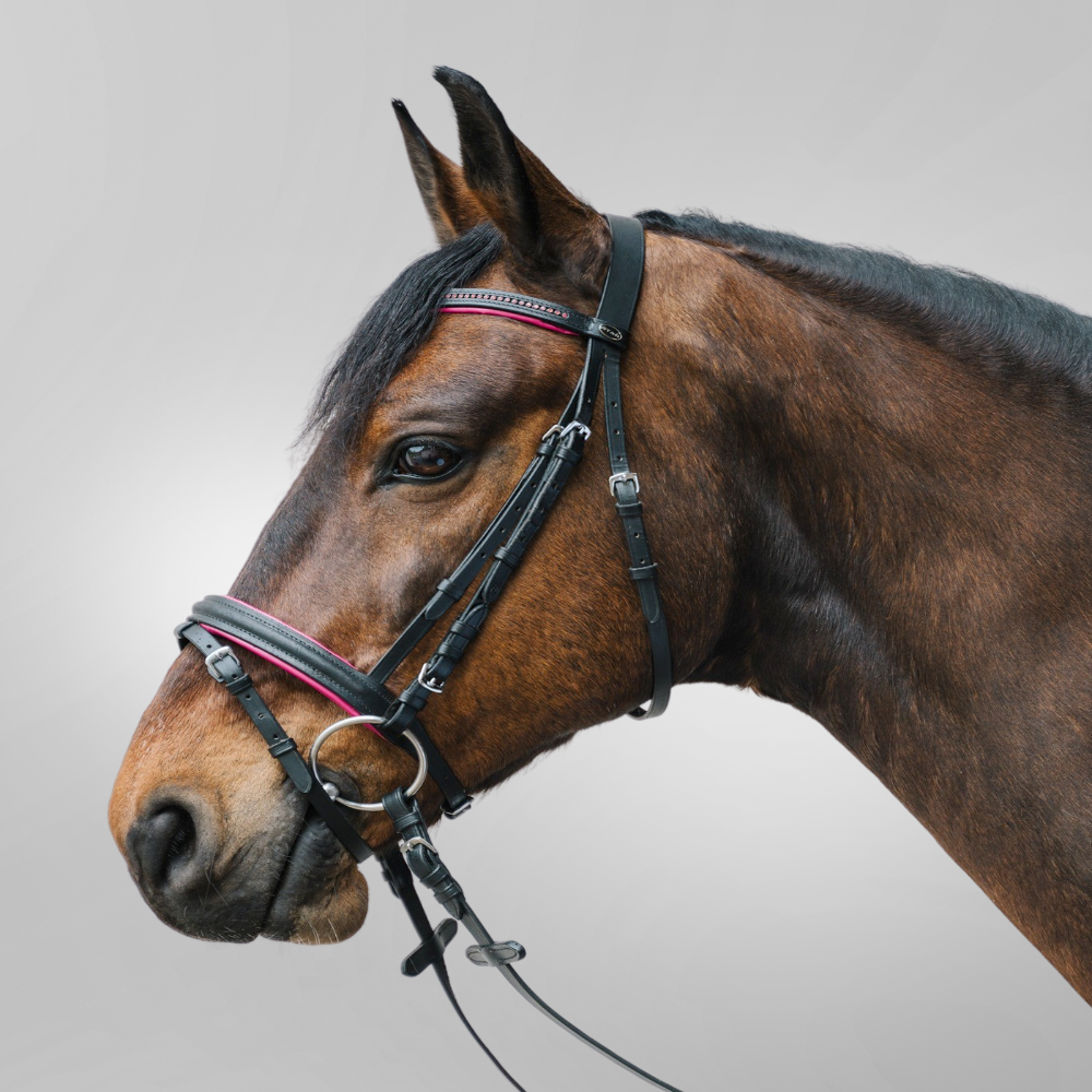 Trensenzaum Diamond Bitless Bridle con Strass | Disponibile in Vari Colori e Misure
