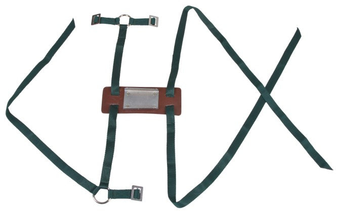 correggia per pecore