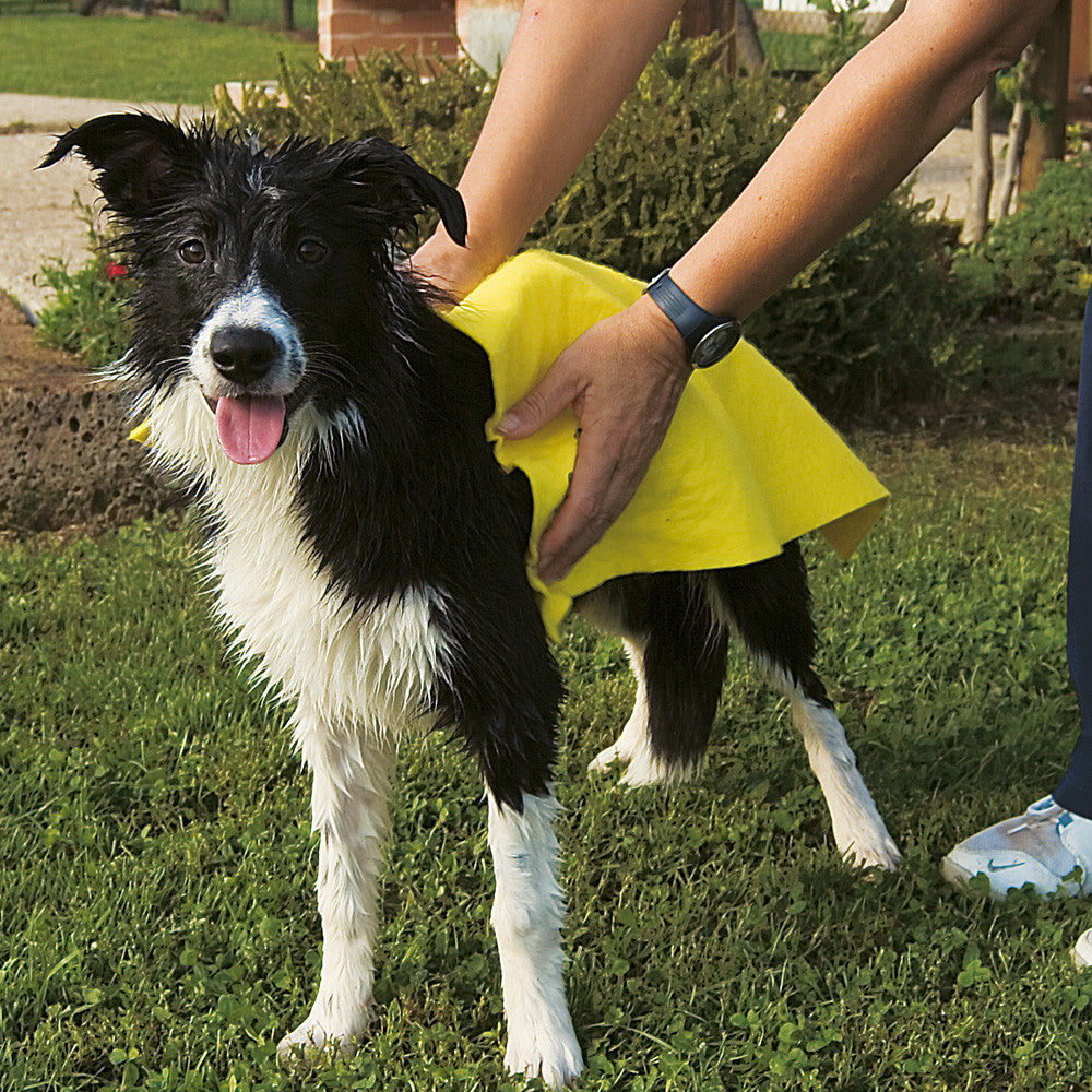 Asciugamano-Panno Assorbente Per Lavaggio Cani