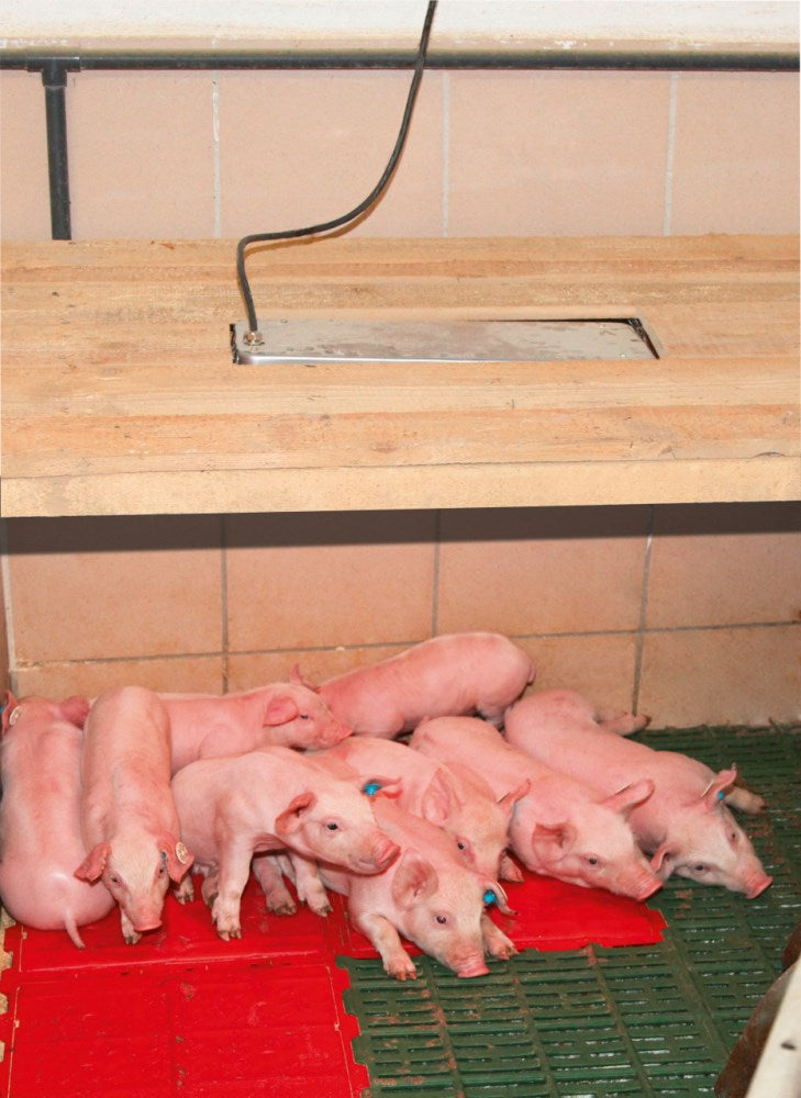 Lampada di irradiazione del calore SunnyBoy 150 W