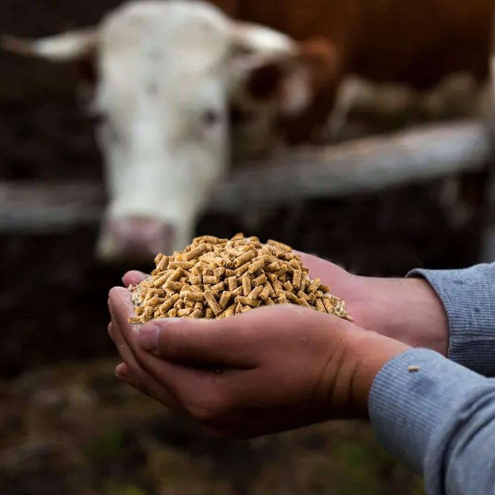 Mangime Alta Qualità
