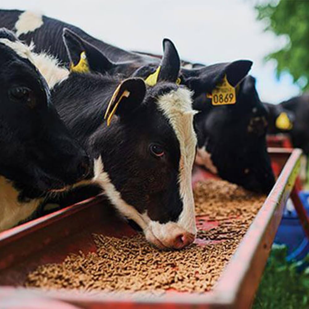 Beikircher Mangimi - Pulmosan Pellet 15Kg Con Selenio Organico, Polifenoli Antiossidanti