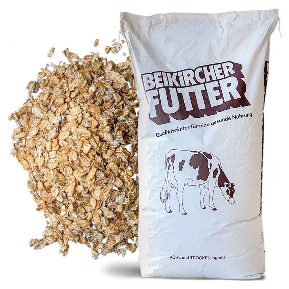 Beikircher Mangimi – Fiocchi di segale (Sfuso/Big Bag/30kg)