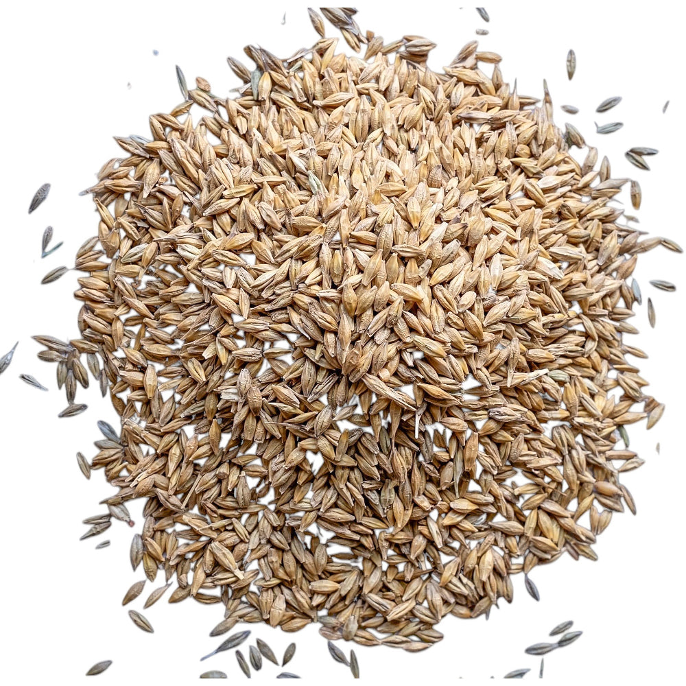 Beikircher Mangimi – Chicchi d'orzo (Sfuso/Big Bag/30kg)