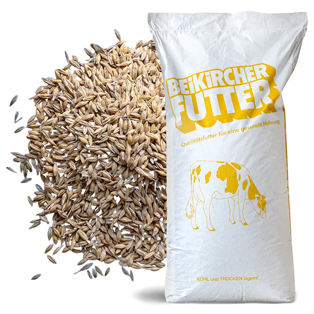 Beikircher Mangimi – Chicchi d'orzo (Sfuso/Big Bag/30kg)