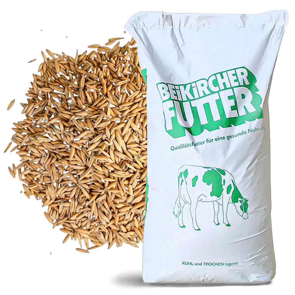 Beikircher Mangimi – Chicchi di avena (Sfuso/Big Bag/30kg)