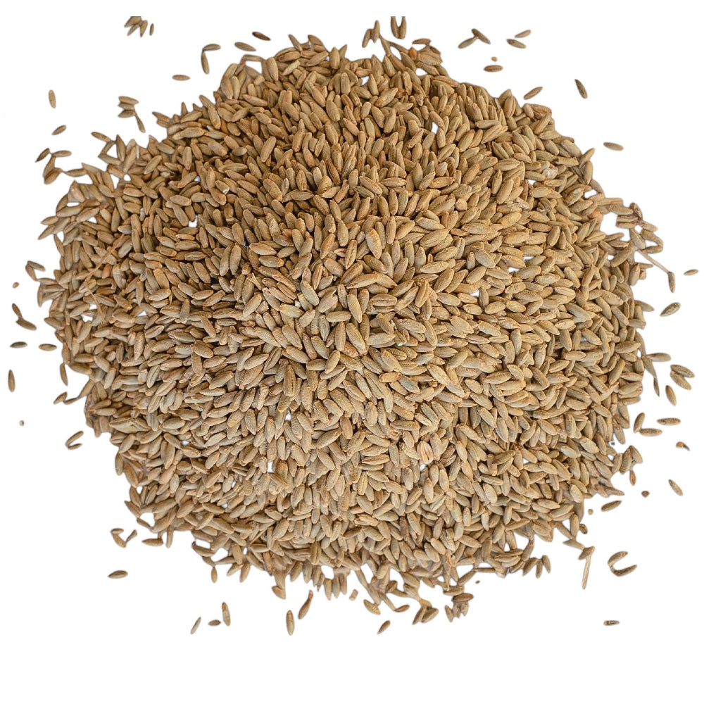 Beikircher Mangimi – Chicchi di segale (Sfuso/Big Bag/30kg)