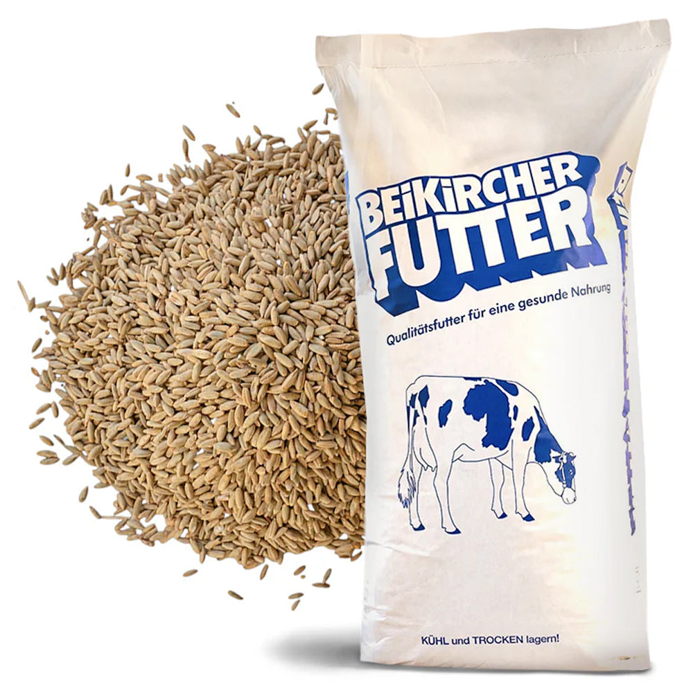 Beikircher Mangimi – Chicchi di segale (Sfuso/Big Bag/30kg)