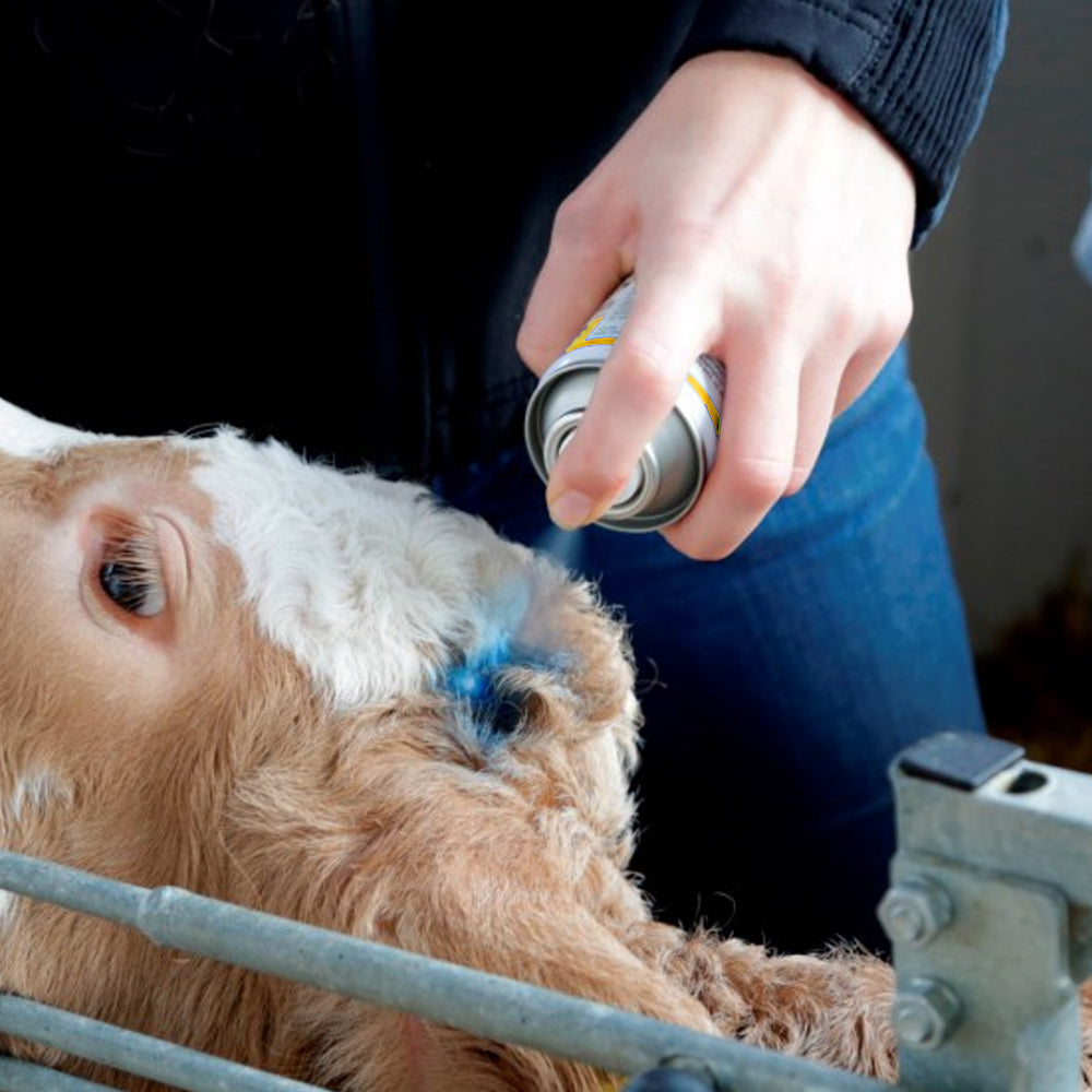 Agrochemica Chinosepton in polvere da spray 200 ml