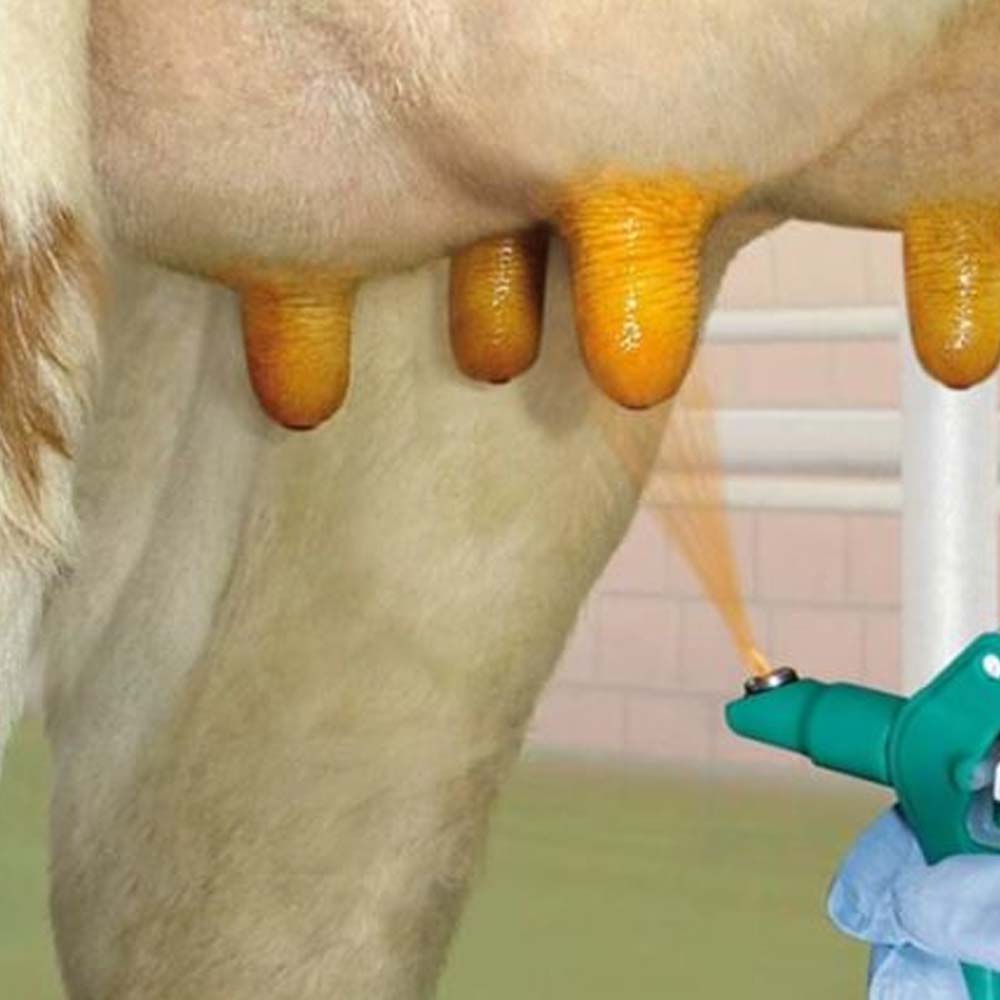 Spruzzatore per Immersione dei Capezzoli Dip Sprayer Angular