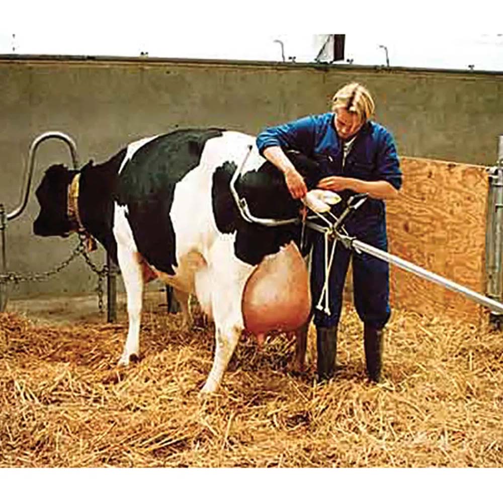 Corde di ricambio per estrattore di vitelli HK