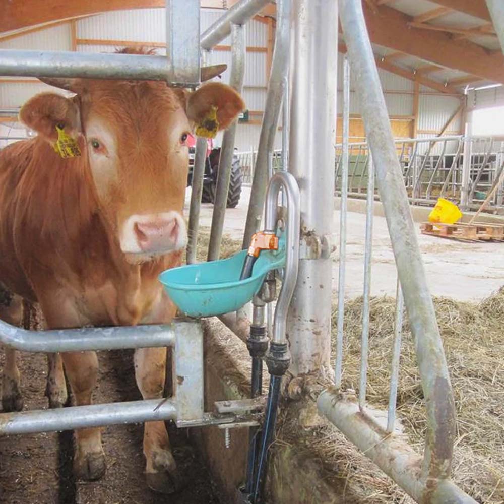 Robusto abbeveratoio in ghisa SUEVIA