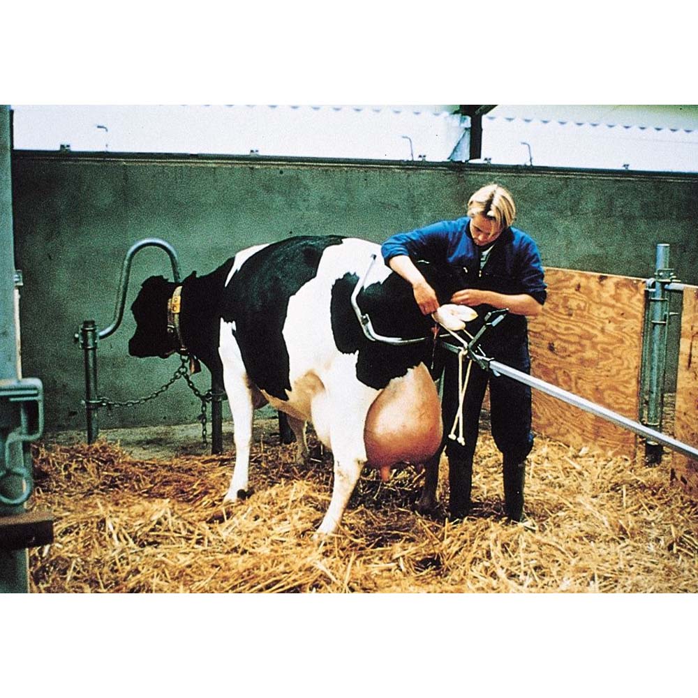 Ostetricia / Corde per il parto