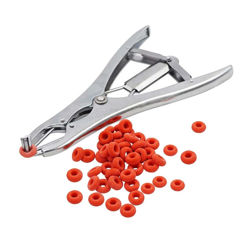 Anelli per pinza castrazione 100 Pezzi