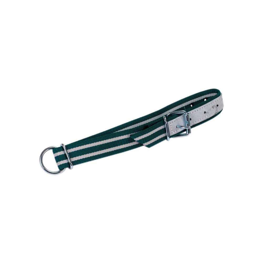 Collare 85 x 4cm con anello ovale